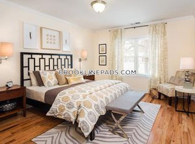 Brookline Apartment for rent 2 Bedrooms 1 Bath  Chestnut Hill - $3,455 No Fee