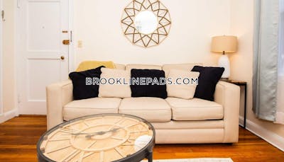 Brookline Apartment for rent 1 Bedroom 1 Bath  Longwood Area - $3,600