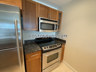 West End Apartment for rent 1 Bedroom 1 Bath Boston - $3,450